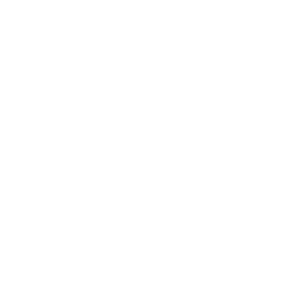 logo wite